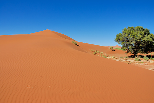 Namibia_441_2011-09-07 20-08-14web